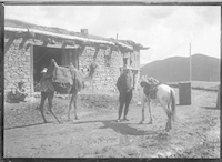 Viaggio in Turchia 1900