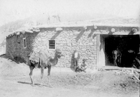 Viaggio in Turchia 1900