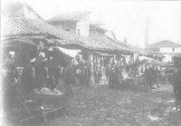 Viaggio in Turchia 1900