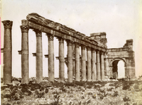 Colonnato e Arco di trionfo, Palmira