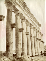 Tempio del Sole, Palmira