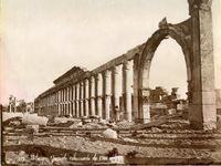 Grande colonnato, Palmira